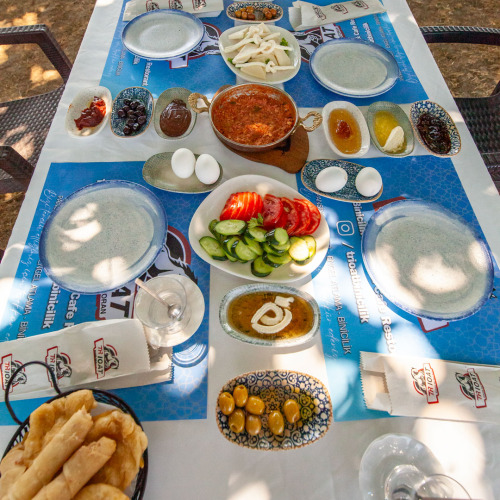 TrioAt Binicilik