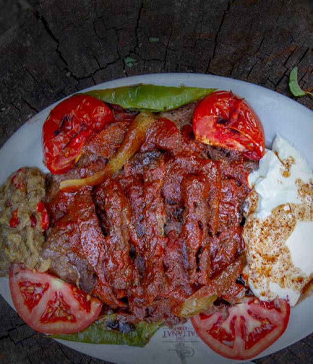 anasayfa1
