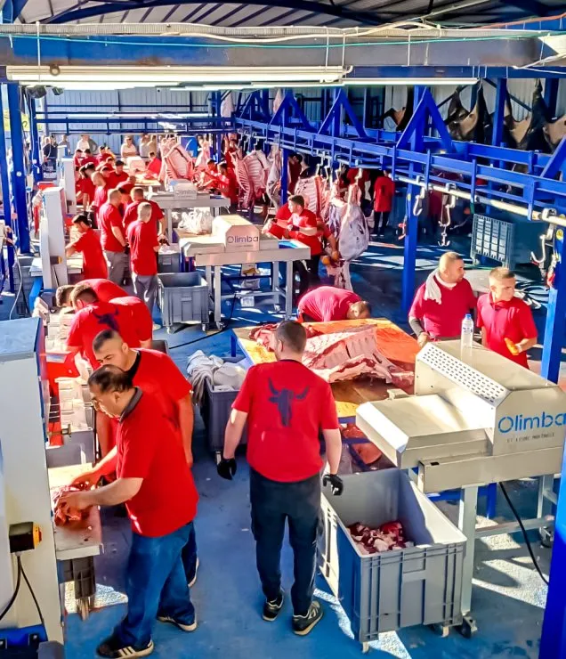 Modern Kurbanlık Üretim Çiftliği fotoğraf 3