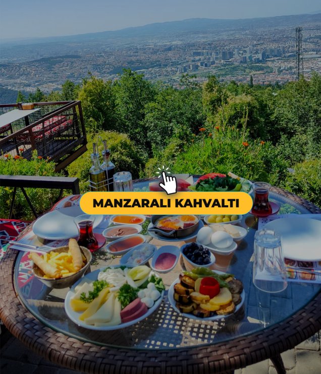 anasayfa3
