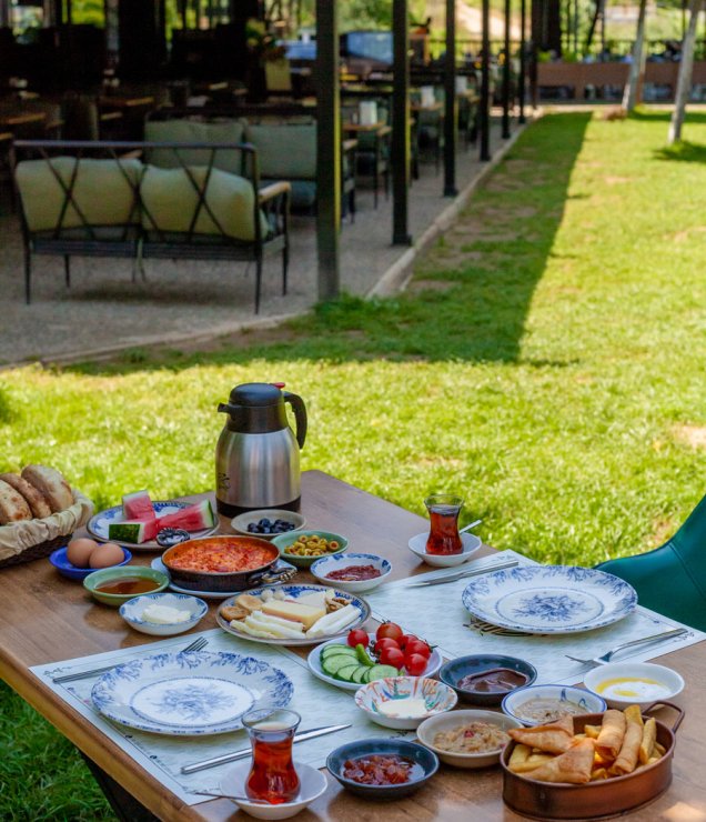 Misi Yaşam