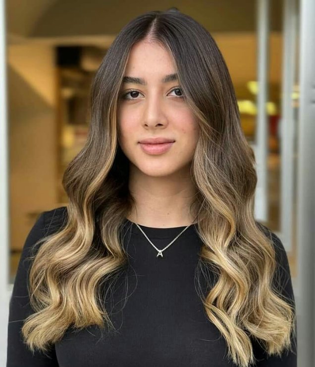 A1
