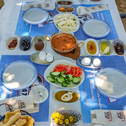 TrioAt Binicilik