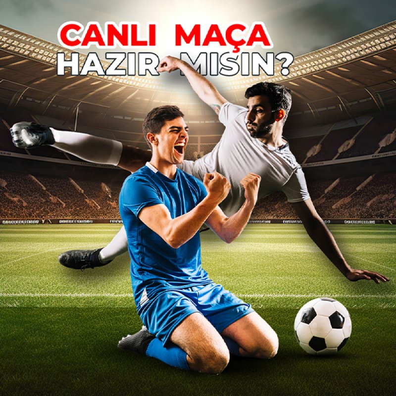 anasayfa3
