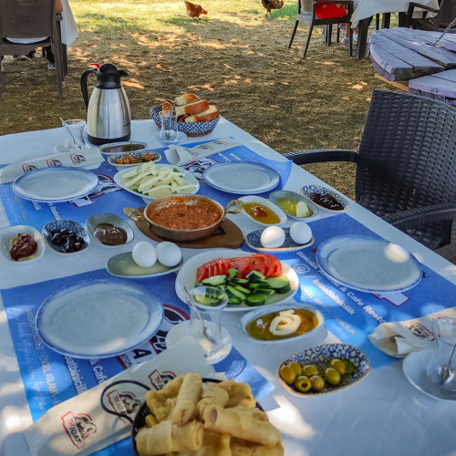 TrioAt Binicilik