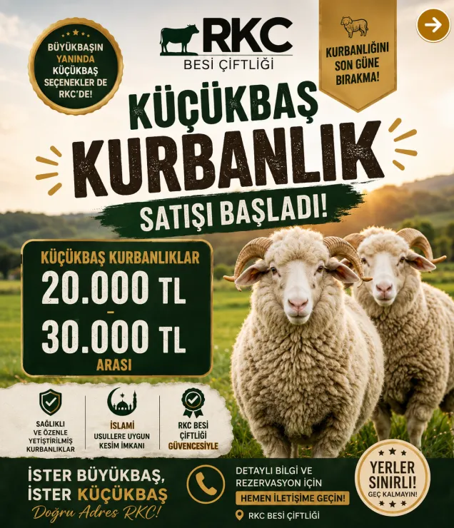 RKC Besi Çiftliği Kurbanlık Hisse Fiyatları fotoğraf 8