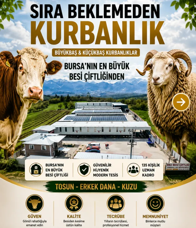 RKC Besi Çiftliği Kurbanlık Hisse Fiyatları fotoğraf 2