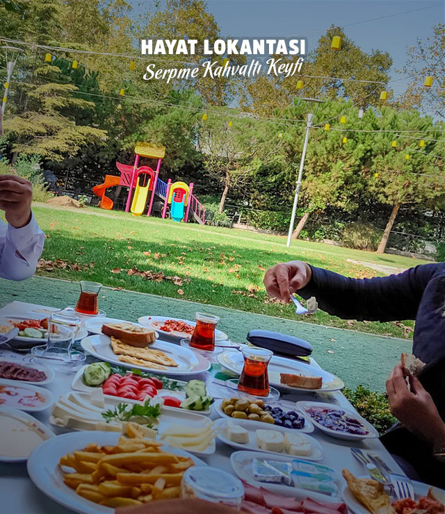Anasayfa 3