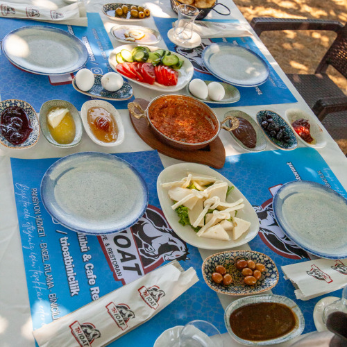 TrioAt Binicilik