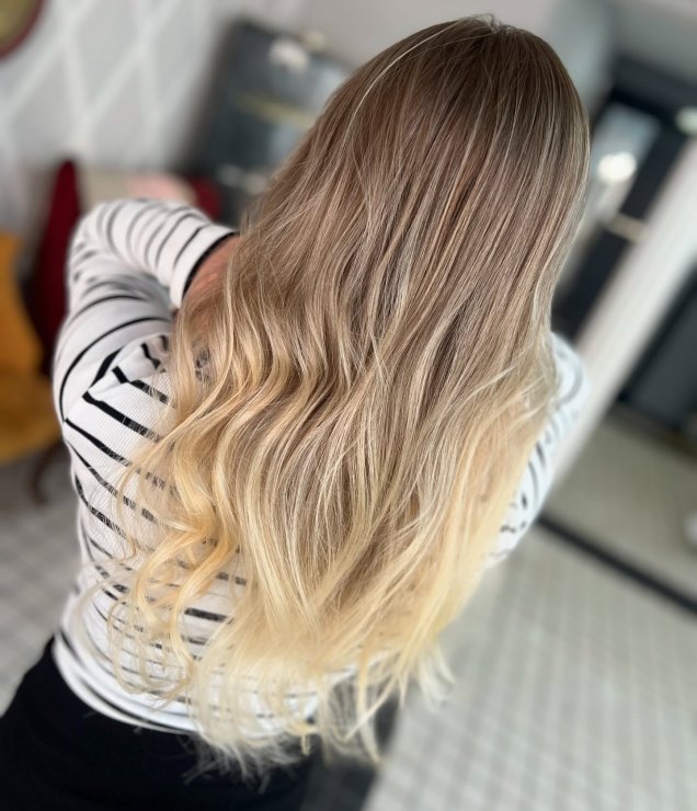 A1
