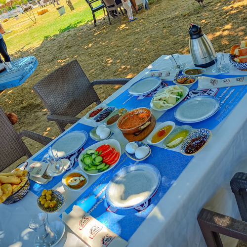 TrioAt Binicilik